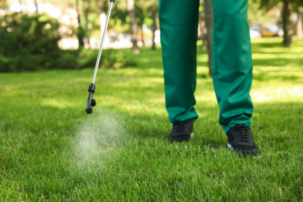 Trusted Claymont, DE Pest Control Experts