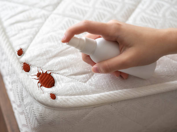 Best Residential Pest Control  in Claymont, DE