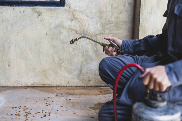 Best Affordable Pest Control Services  in Claymont, DE
